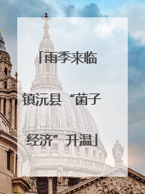 雨季来临 镇沅县“菌子经济”升温