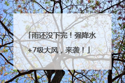 雨还没下完！强降水+7级大风，来袭！
