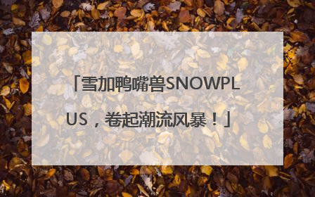 雪加鸭嘴兽SNOWPLUS，卷起潮流风暴！