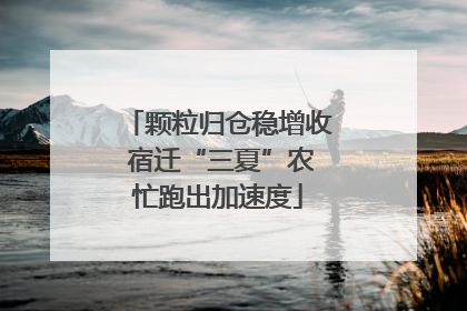 颗粒归仓稳增收 宿迁“三夏”农忙跑出加速度