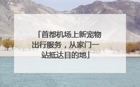 首都机场上新宠物出行服务，从家门一站抵达目的地