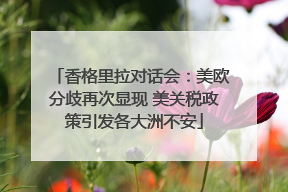 香格里拉对话会：美欧分歧再次显现 美关税政策引发各大洲不安