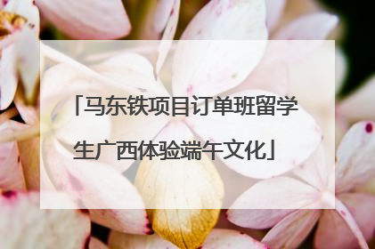 马东铁项目订单班留学生广西体验端午文化