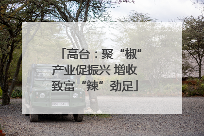高台：聚“椒”产业促振兴 增收致富“辣”劲足