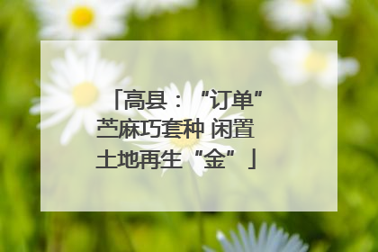 高县：“订单”苎麻巧套种 闲置土地再生“金”