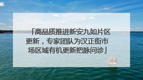 高品质推进新安九如片区更新，专家团队为汉正街市场区域有机更新把脉问诊