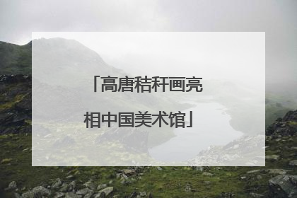 高唐秸秆画亮相中国美术馆