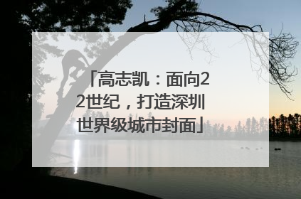 高志凯：面向22世纪，打造深圳世界级城市封面