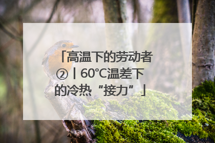 高温下的劳动者②丨60℃温差下的冷热“接力”