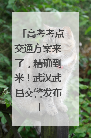 高考考点交通方案来了，精确到米！武汉武昌交警发布