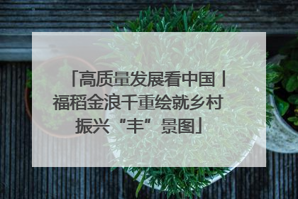 高质量发展看中国丨福稻金浪千重绘就乡村振兴“丰”景图