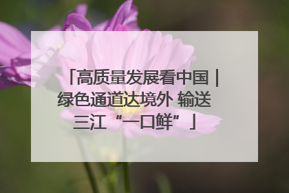 高质量发展看中国｜绿色通道达境外 输送三江“一口鲜”