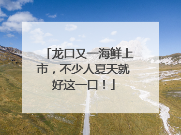 龙口又一海鲜上市，不少人夏天就好这一口！