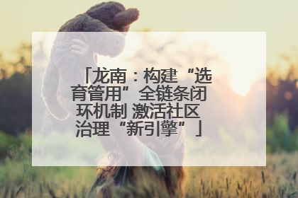 龙南：构建“选育管用”全链条闭环机制 激活社区治理“新引擎”