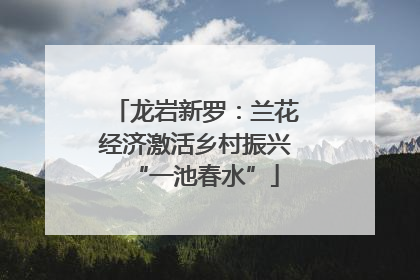 龙岩新罗：兰花经济激活乡村振兴“一池春水”