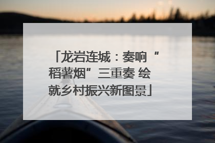 龙岩连城：奏响“稻薯烟”三重奏 绘就乡村振兴新图景