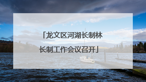 龙文区河湖长制林长制工作会议召开