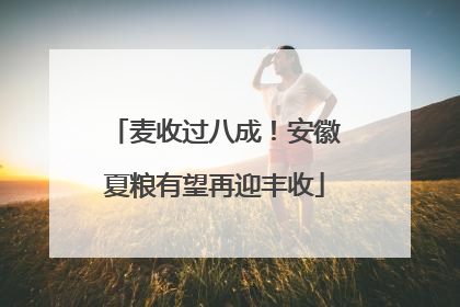 麦收过八成！安徽夏粮有望再迎丰收