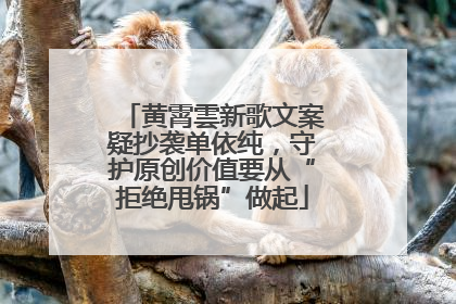 黄霄雲新歌文案疑抄袭单依纯，守护原创价值要从“拒绝甩锅”做起