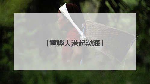 黄骅大港起渤海
