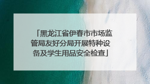 黑龙江省伊春市市场监管局友好分局开展特种设备及学生用品安全检查
