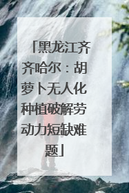黑龙江齐齐哈尔：胡萝卜无人化种植破解劳动力短缺难题