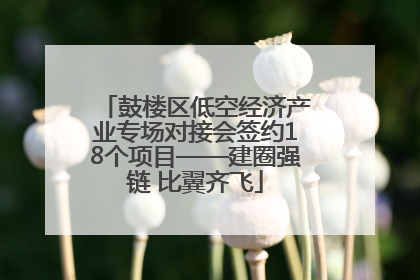 鼓楼区低空经济产业专场对接会签约18个项目——建圈强链 比翼齐飞
