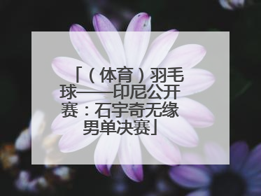 （体育）羽毛球——印尼公开赛：石宇奇无缘男单决赛