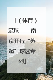 （体育）足球——南京开行“苏超”球迷专列