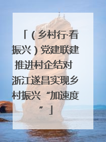 （乡村行·看振兴）党建联建推进村企结对 浙江遂昌实现乡村振兴“加速度”