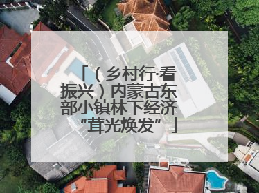 （乡村行·看振兴）内蒙古东部小镇林下经济“茸光焕发”