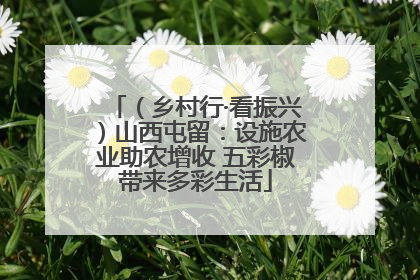 （乡村行·看振兴）山西屯留：设施农业助农增收 五彩椒带来多彩生活