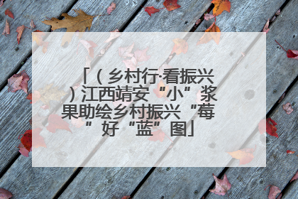 （乡村行·看振兴）江西靖安“小”浆果助绘乡村振兴“莓”好“蓝”图