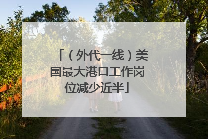 （外代一线）美国最大港口工作岗位减少近半