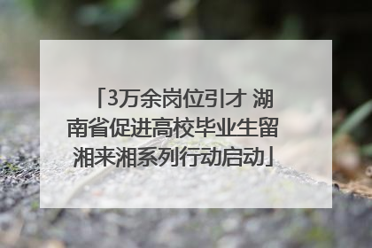 3万余岗位引才 湖南省促进高校毕业生留湘来湘系列行动启动
