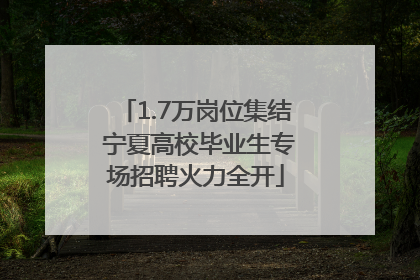 1.7万岗位集结 宁夏高校毕业生专场招聘火力全开