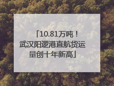 10.81万吨！武汉阳逻港直航货运量创十年新高