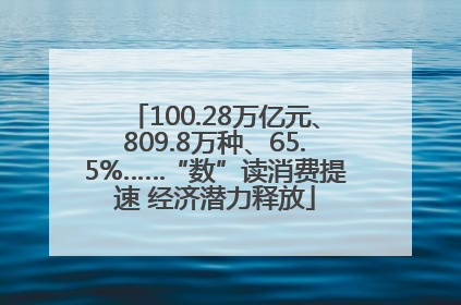 100.28万亿元、809.8万种、65.5%……“数”读消费提速 经济潜力释放