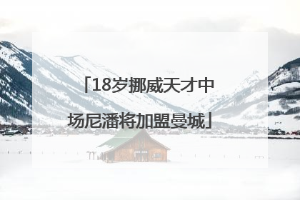 18岁挪威天才中场尼潘将加盟曼城