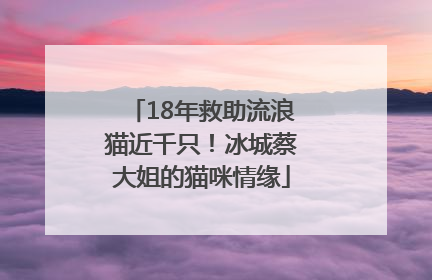 18年救助流浪猫近千只！冰城蔡大姐的猫咪情缘