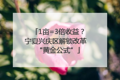 1亩=3倍收益？宁夏兴庆区解锁改革“黄金公式”