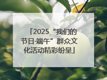 2025“我们的节日·端午”群众文化活动精彩纷呈
