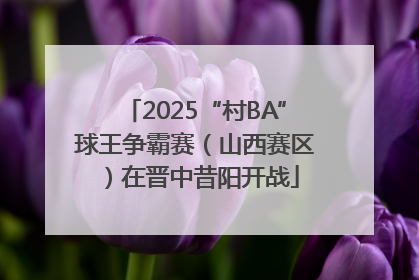 2025“村BA”球王争霸赛（山西赛区）在晋中昔阳开战