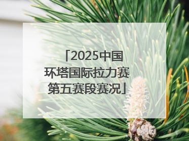 2025中国环塔国际拉力赛第五赛段赛况