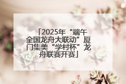 2025年“端午全国龙舟大联动”厦门集美“学村杯”龙舟联赛开赛