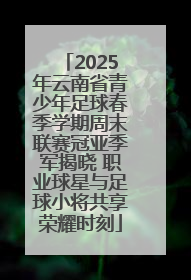 2025年云南省青少年足球春季学期周末联赛冠亚季军揭晓 职业球星与足球小将共享荣耀时刻