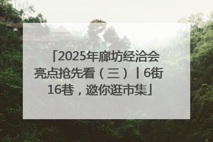 2025年廊坊经洽会亮点抢先看（三）丨6街16巷，邀你逛市集