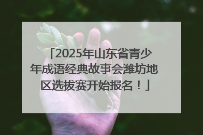 2025年山东省青少年成语经典故事会潍坊地区选拔赛开始报名！