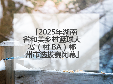 2025年湖南省和美乡村篮球大赛（村 BA）郴州市选拔赛闭幕