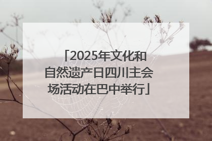 2025年文化和自然遗产日四川主会场活动在巴中举行